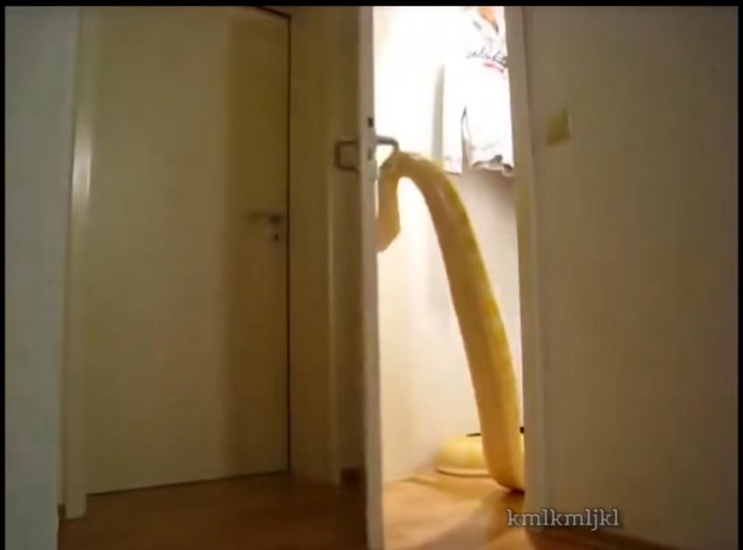 python的socket连接编程